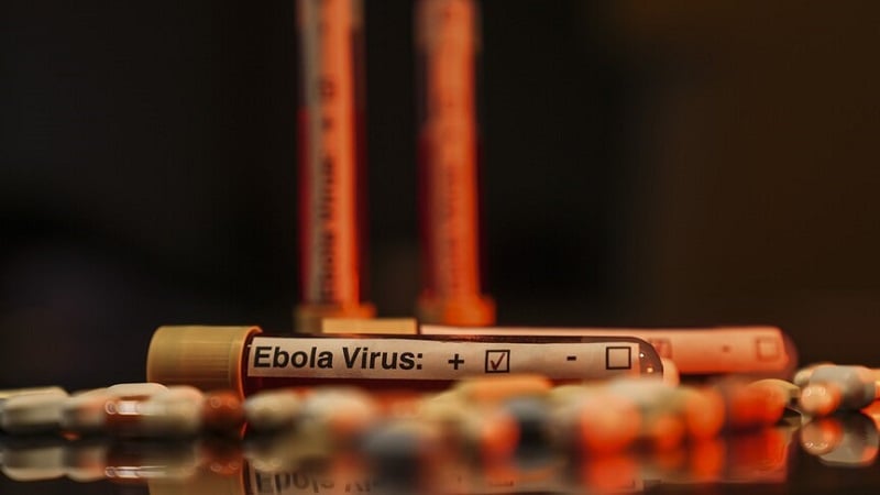 Wanasayansi: Aina ya sasa ya Ebola imeitoka kwa wanyamapori