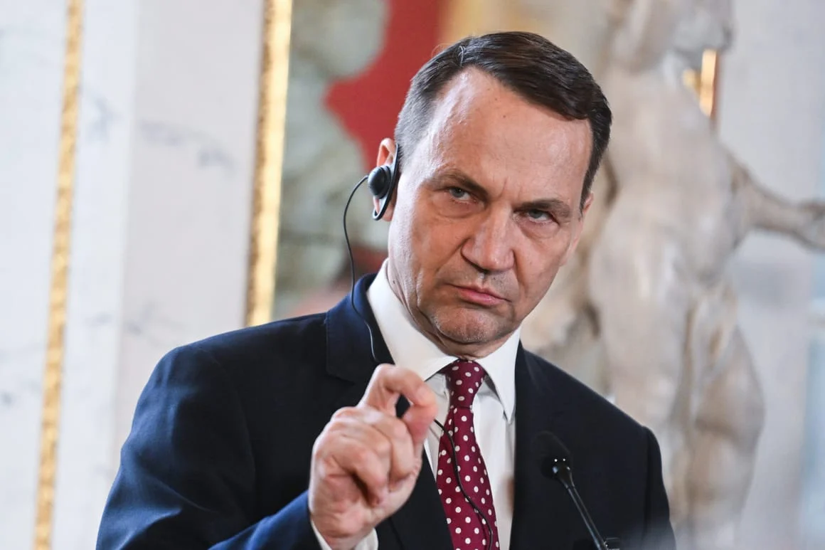 Sikorski: Tungeweza Kuishinda Urusi Kwa Haraka
